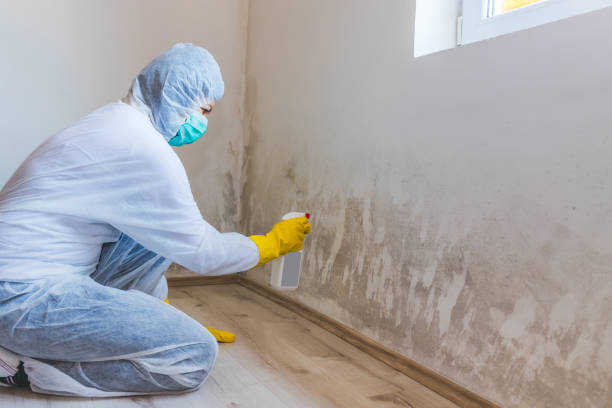 Bathroom Mold Removal assessment in Grand Rapids bathroom